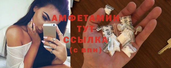 прущие грибы Баксан