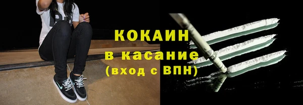 прущие грибы Баксан