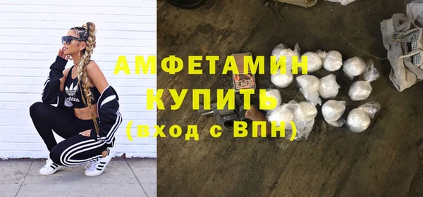 прущие грибы Баксан