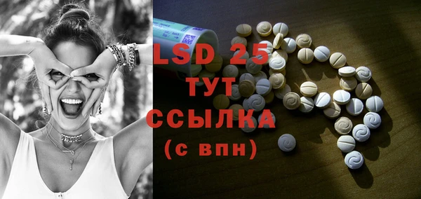прущие грибы Баксан