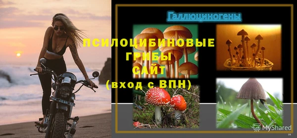 прущие грибы Баксан