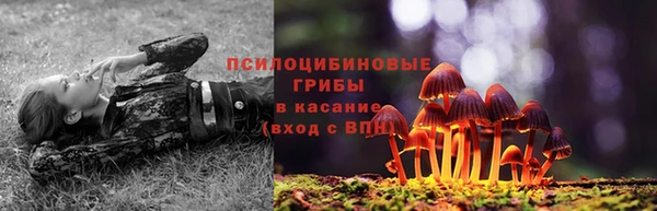 spice Балахна
