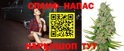 хмурый Гатчина