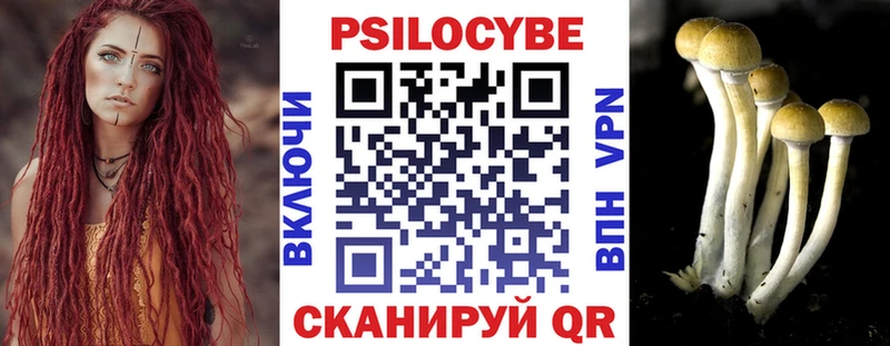 darknet какой сайт  Белая Калитва  Псилоцибиновые грибы Psilocybe 
