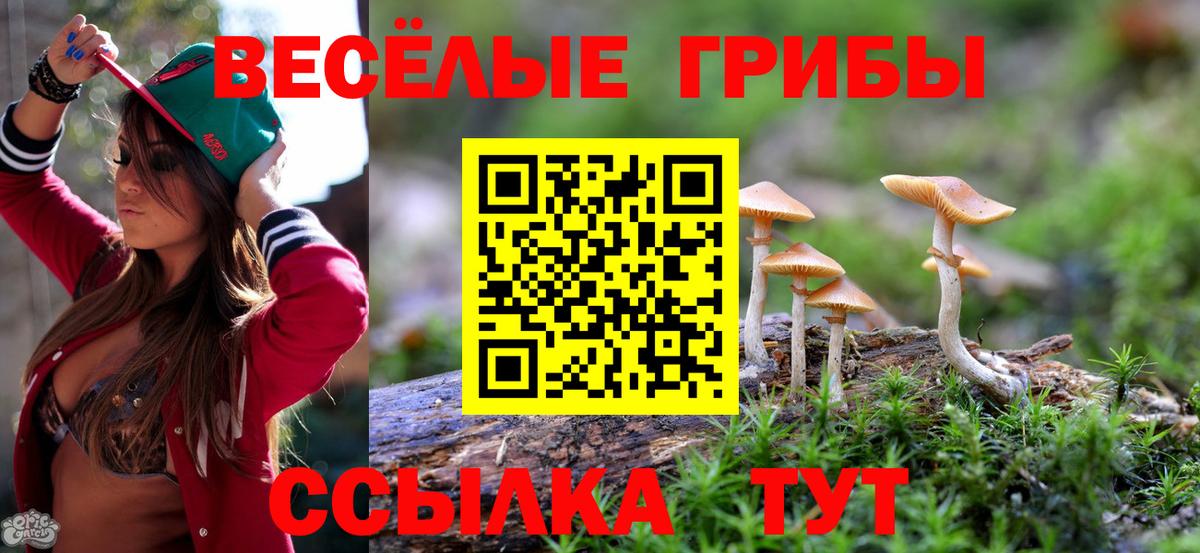 Псилоцибиновые грибы ЛСД  Вход с VPN  Псилоцибиновые грибы ЛСД  купить наркоту  Белая Калитва 