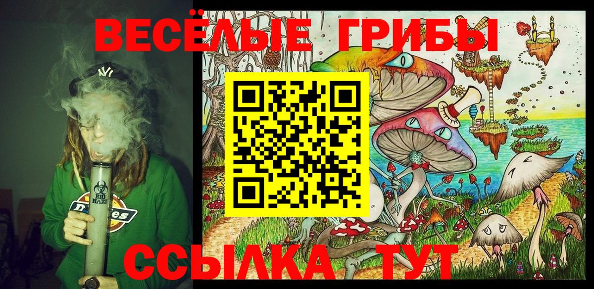 Галлюциногенные грибы Cubensis Белая Калитва